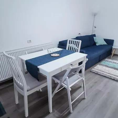 Blue House And Parking * טימישוארה